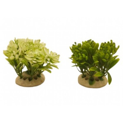 ΔΙΑΚΟΣΜΗΤΙΚΟ ΦΥΤΟ ΕΝΥΔΡΕΙΟΥ ΣΕ 2 ΧΡΩΜΑΤΑ 8CM